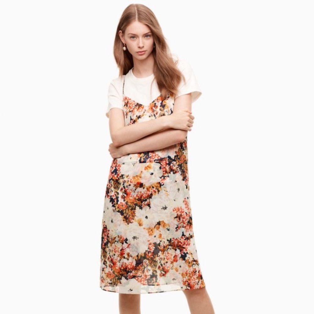 Aritzia Little Moon Atro Slip Dress